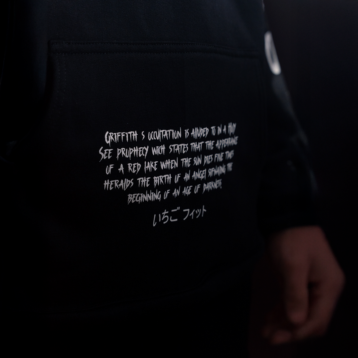 Sudadera Berserk Guts